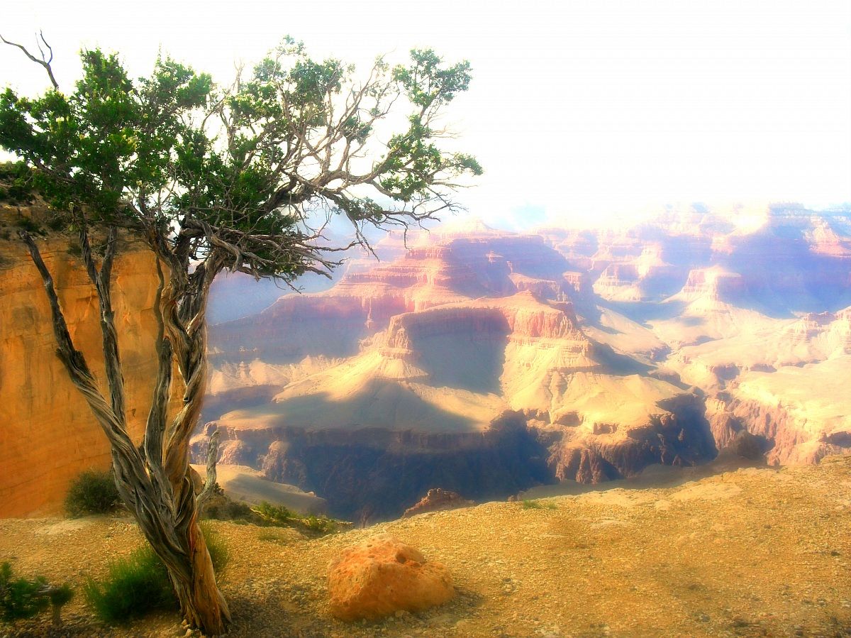 Grand Canyon National Park