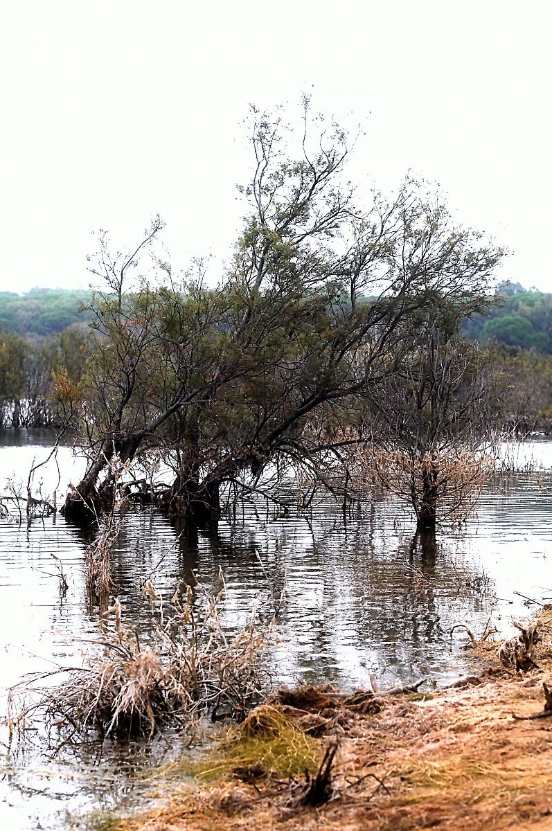 Lake Baratz 29.09.2013