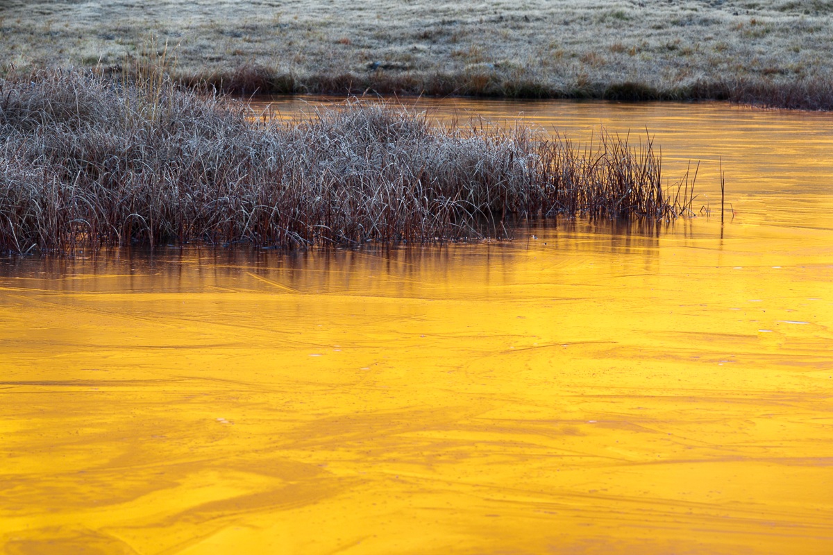 Alba alla torbiera...