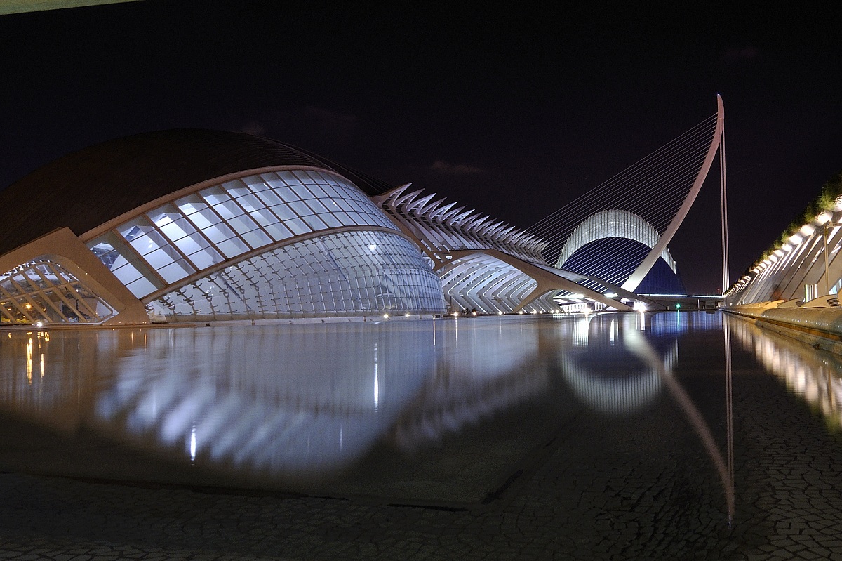 Ciudad de las Artes y las Ciencias notturna - Calatrava