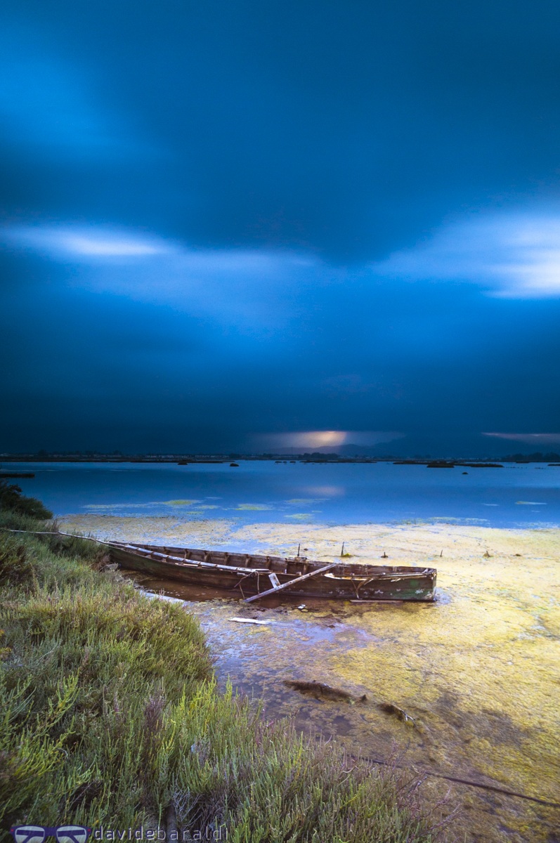 the little paradises lost in the suburbs ...