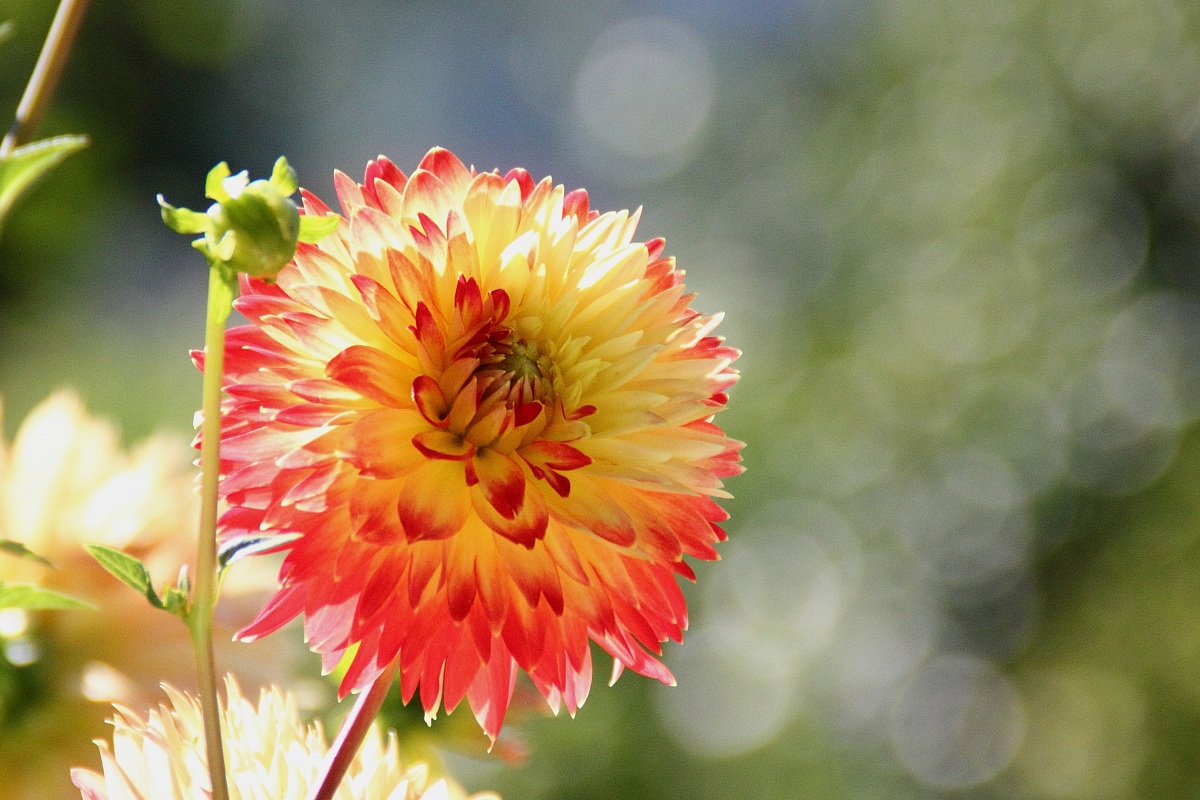 I colori della primavera...