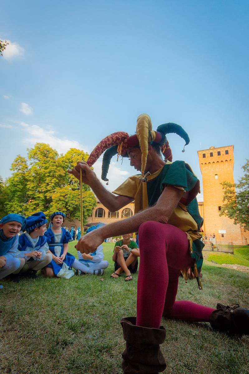 Jester in the court!