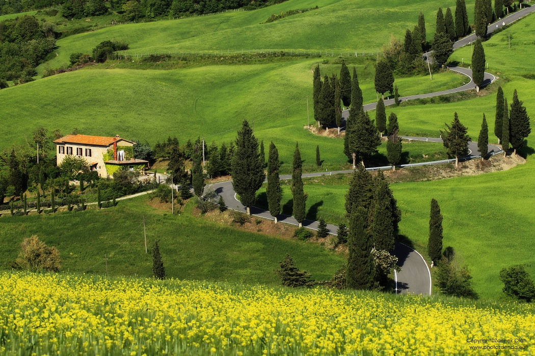 Monticchiello Road, Tuscany 2013