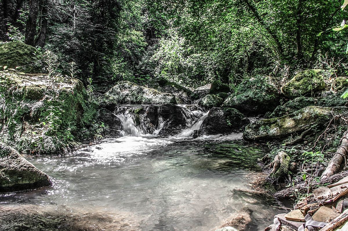 chiare, fresche et dolci acque