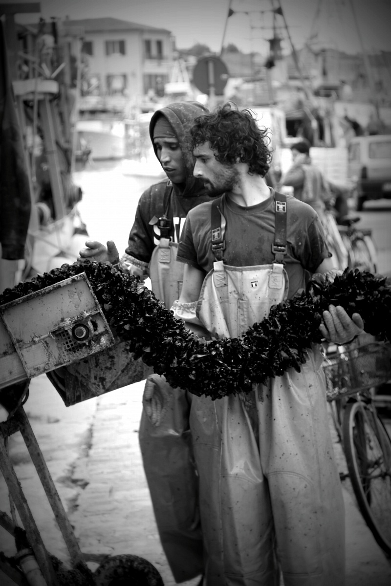 I pescatori di cozze