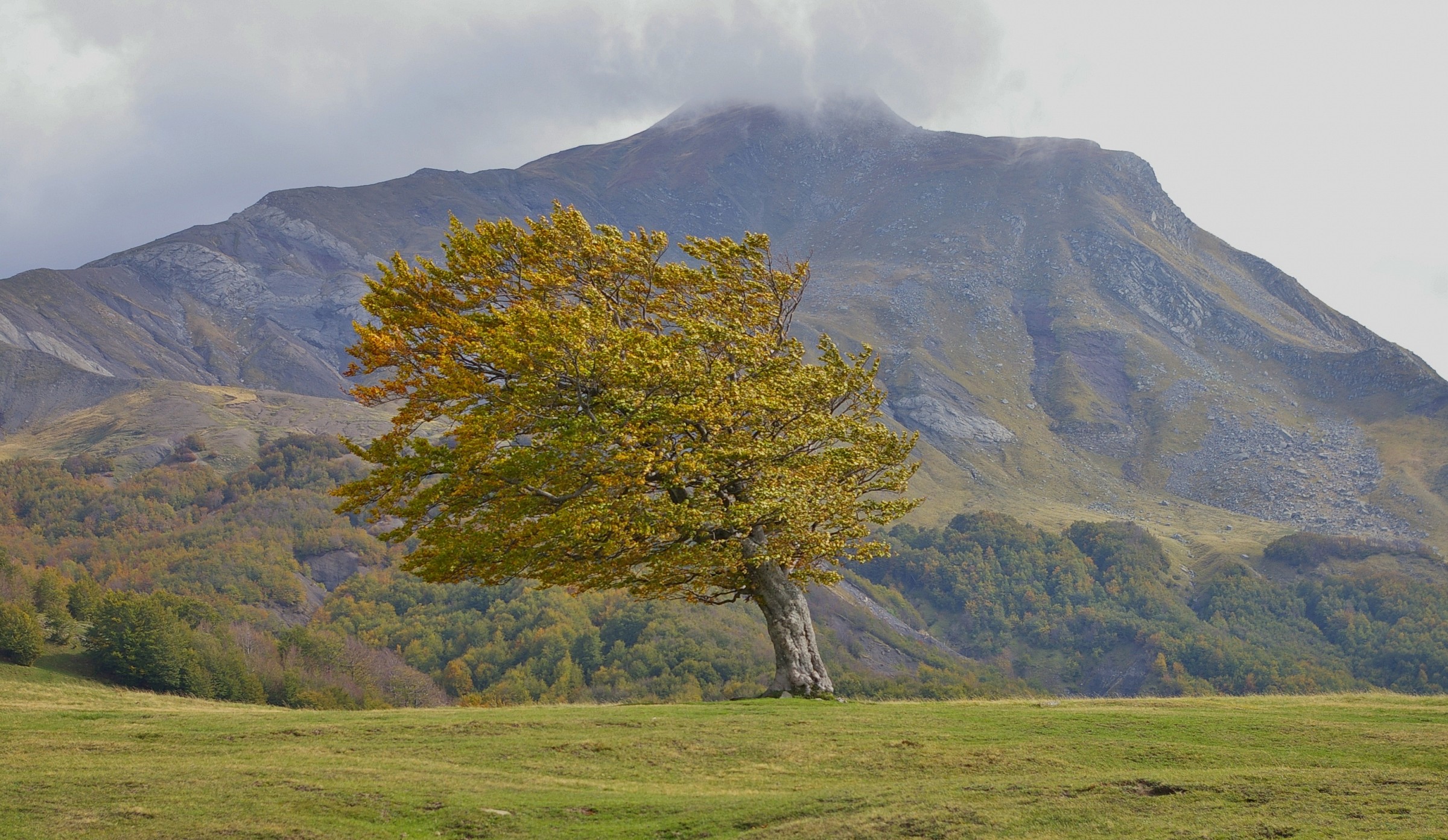 Cusna from the meadows by sara