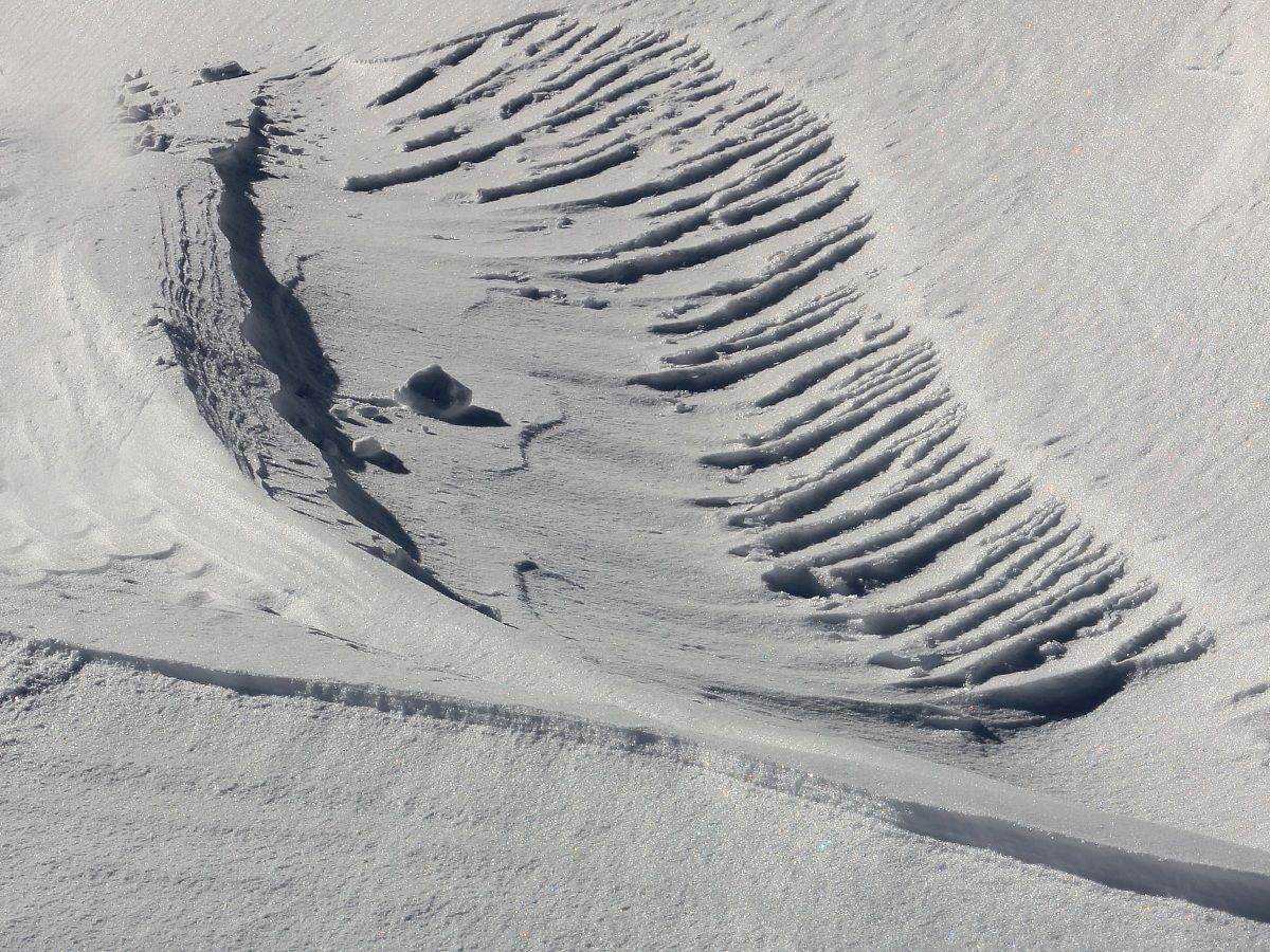 Le scultre del vento sulla neve..