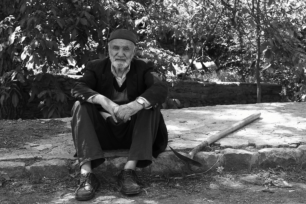 Tutta la vita è s job `