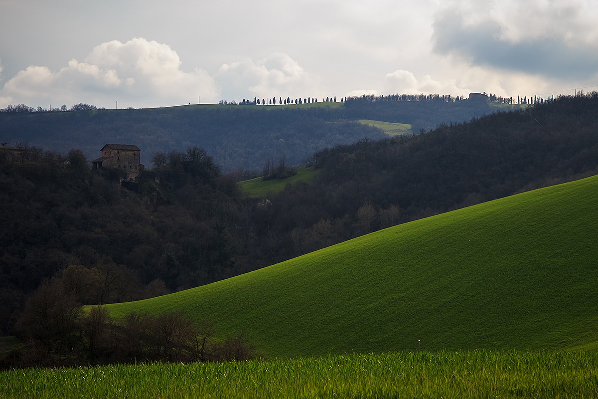 Colline di Borzano