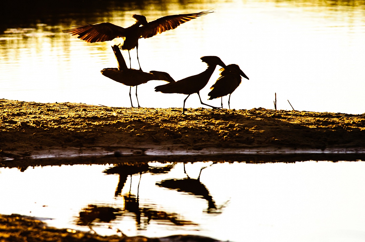 L'amore tra le umbrette