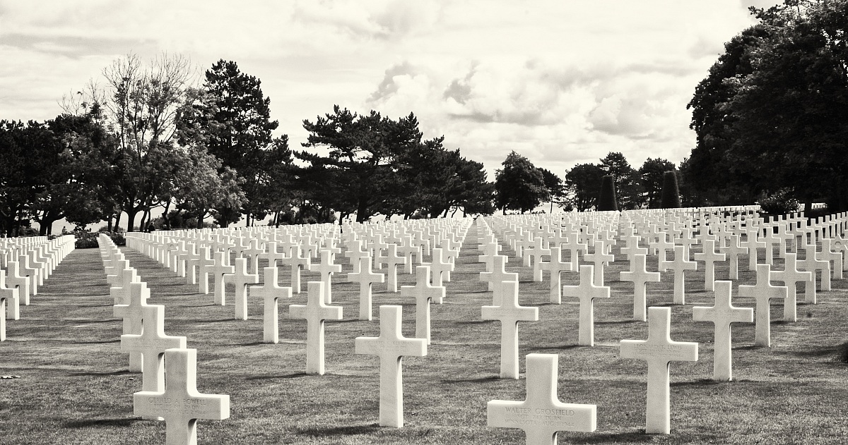 9387 candide croci bianche