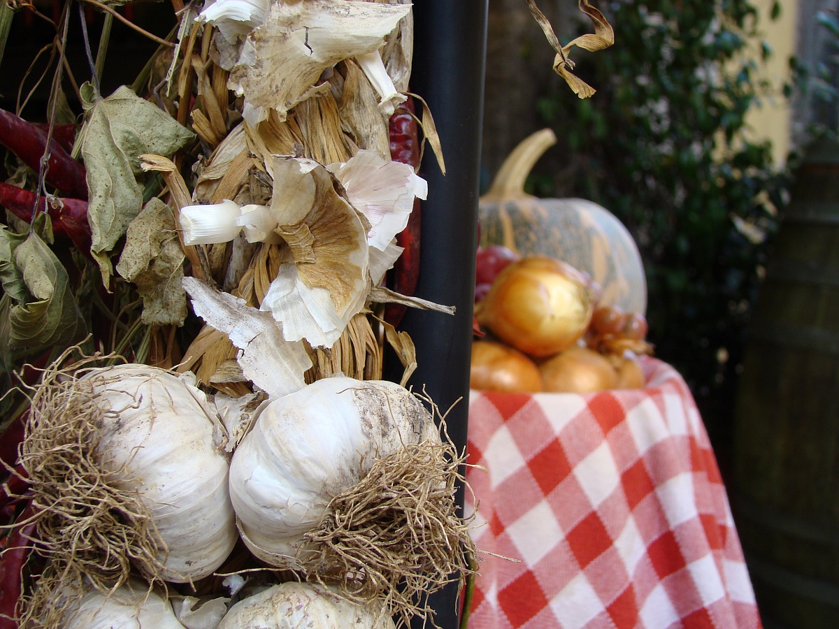 garlic, pumpkins and autumn