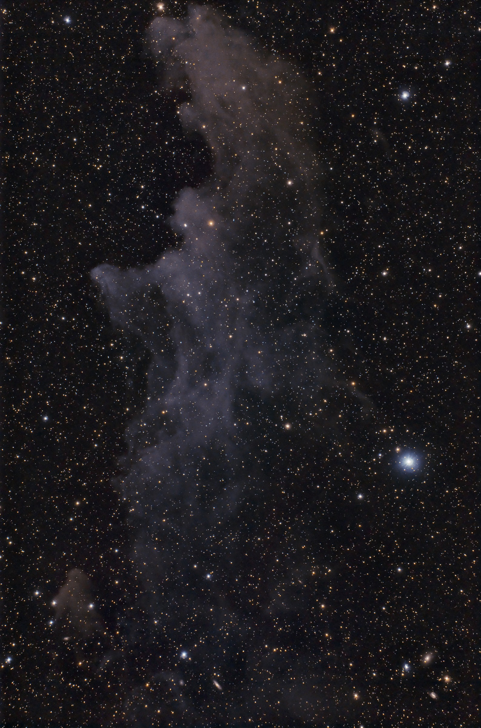 IC 2118 Nebulosa Testa della Strega.