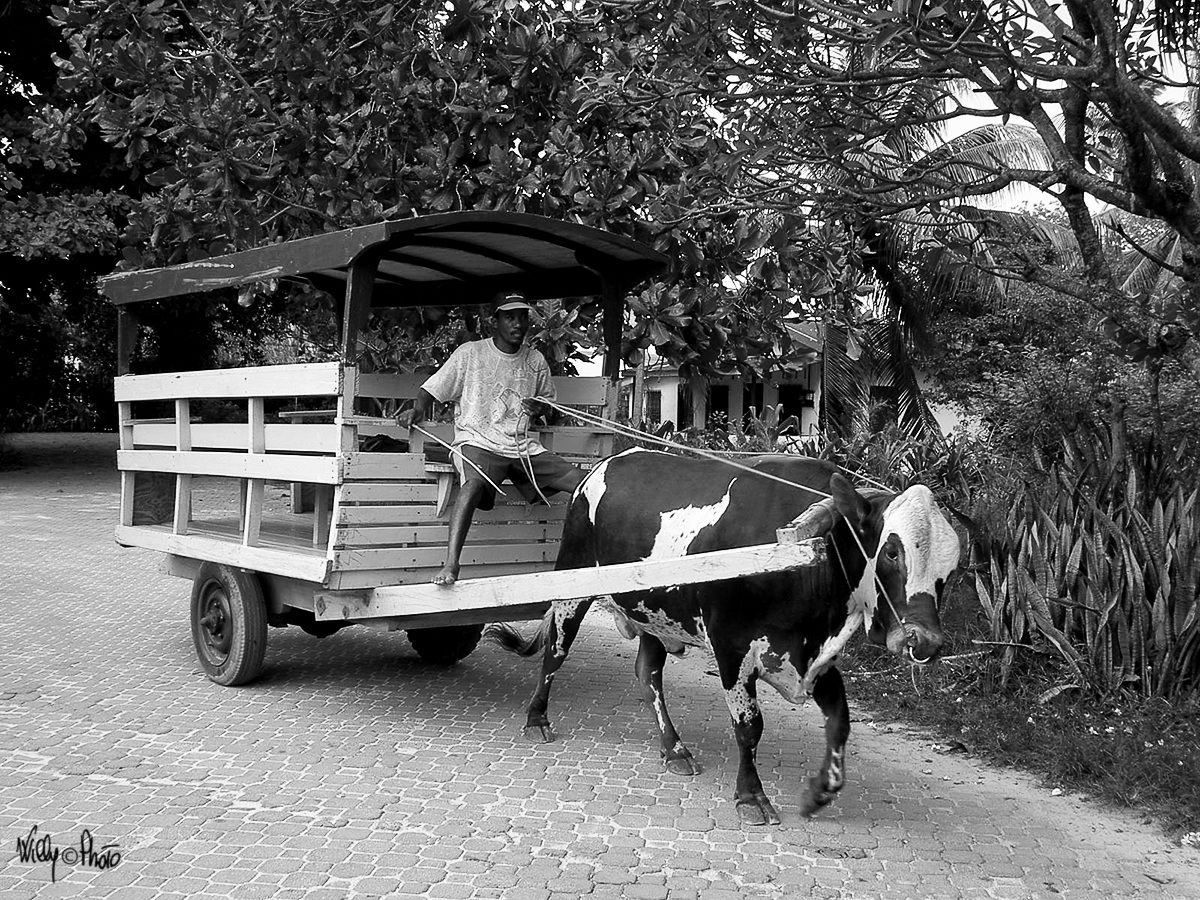 where time stands still