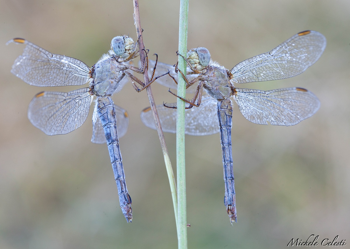 it is nice to wake up in 2 ...