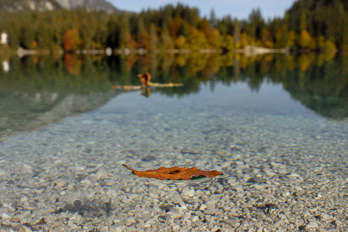 Si stà come d'autunno...