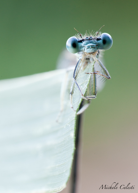 No, but I stagger soak