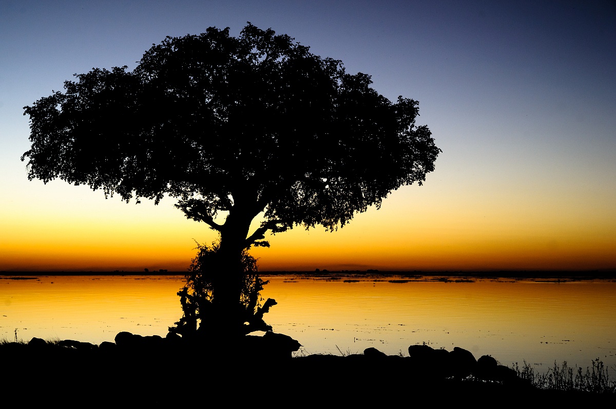 Tramonto sulle rive del Chobe