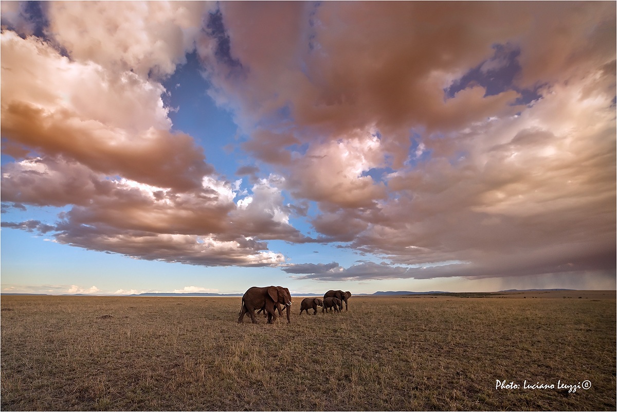 Waiting for the storm