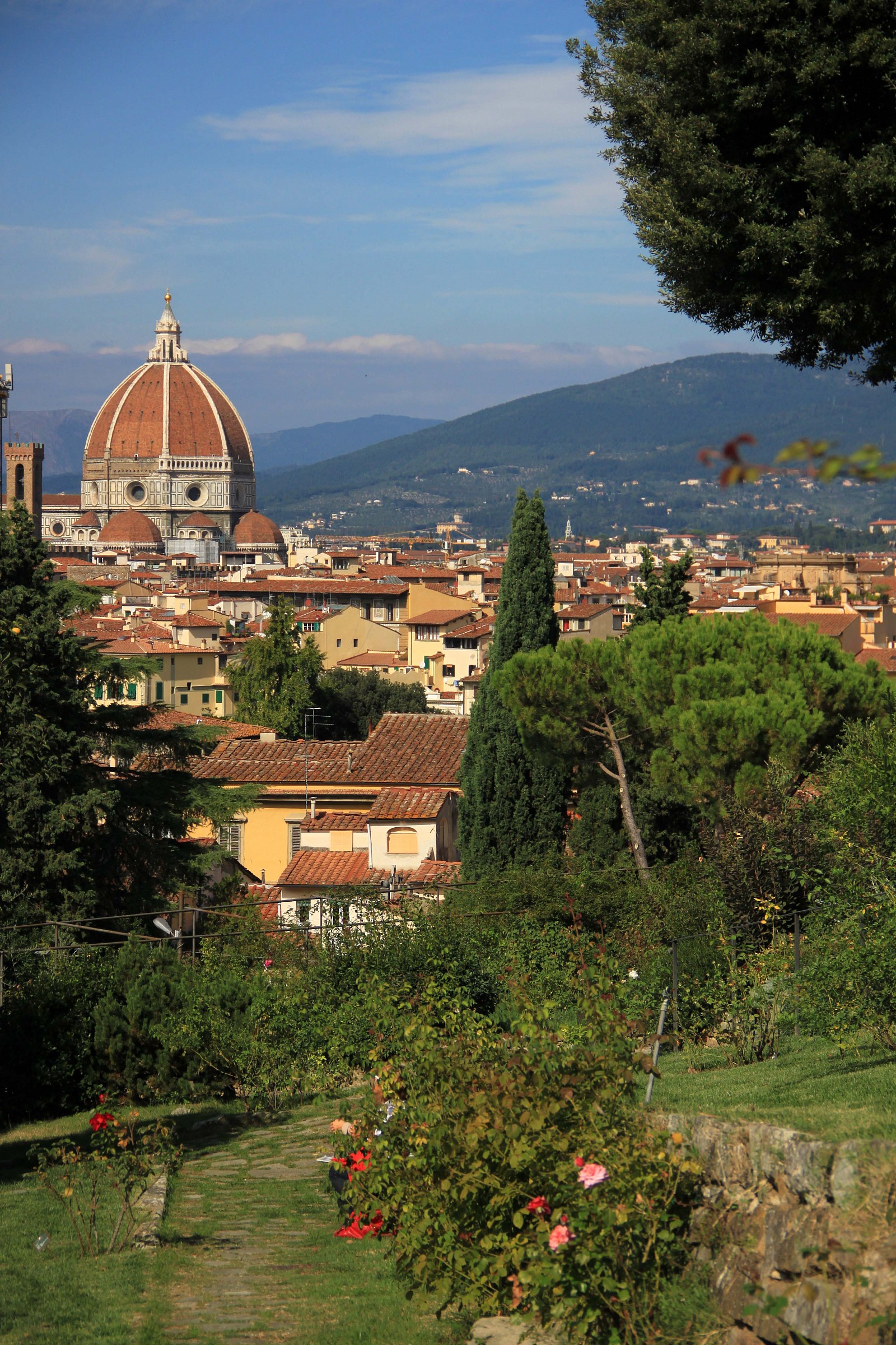 Cupola del Duomo di firenze