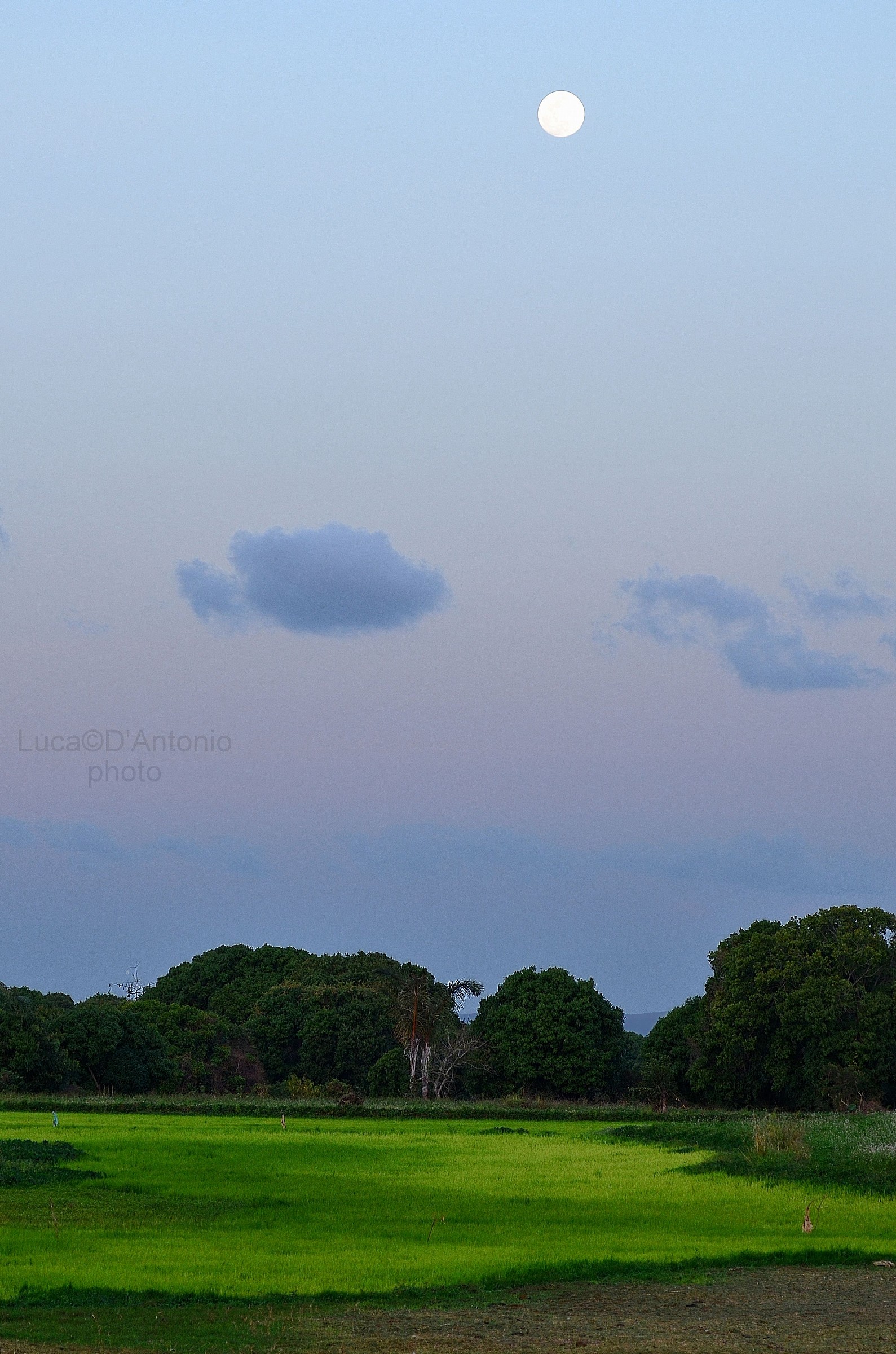 La Luna