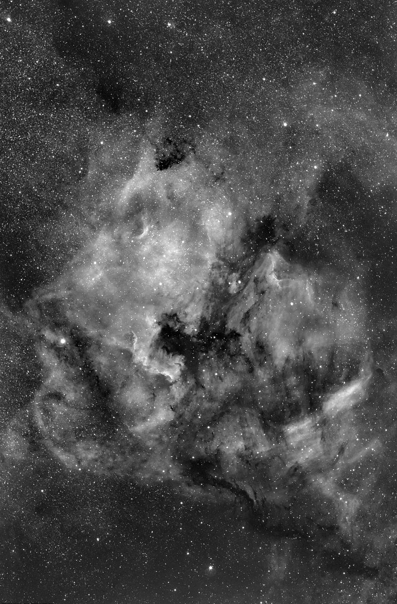 North Amarica Pelican Halpha 12 nm