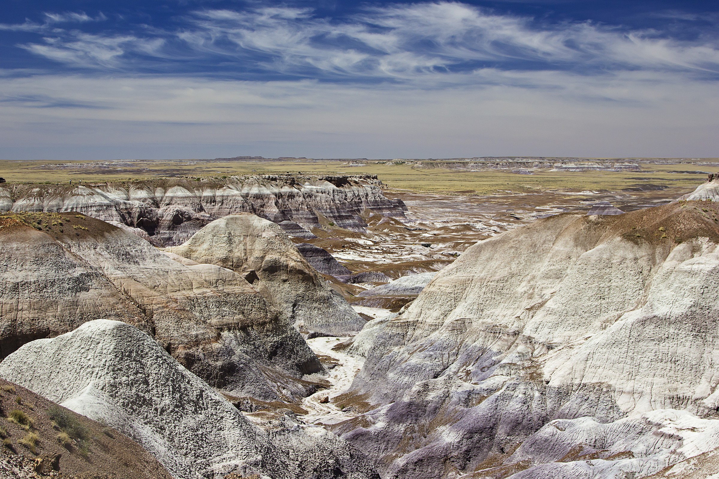Pietrified Forest, Arizona