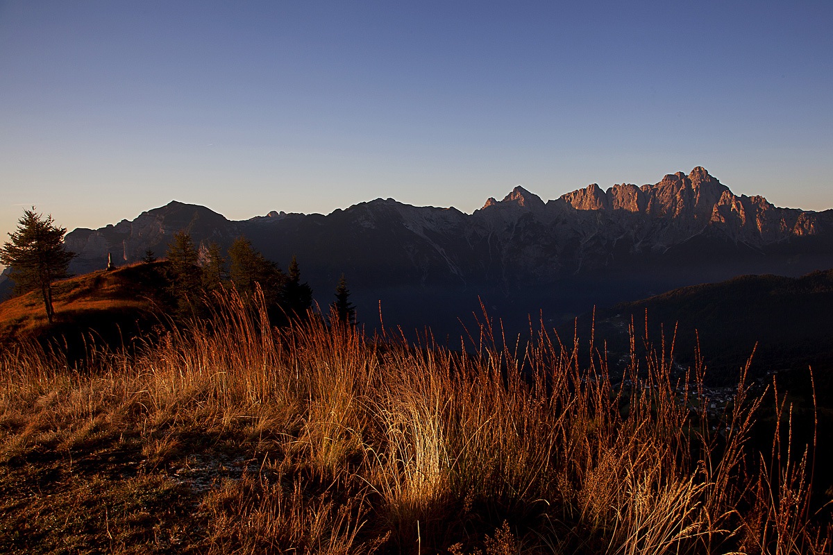 primo sole sull'erba d'autunno