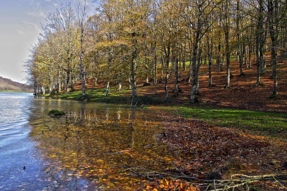Nice view on the lake