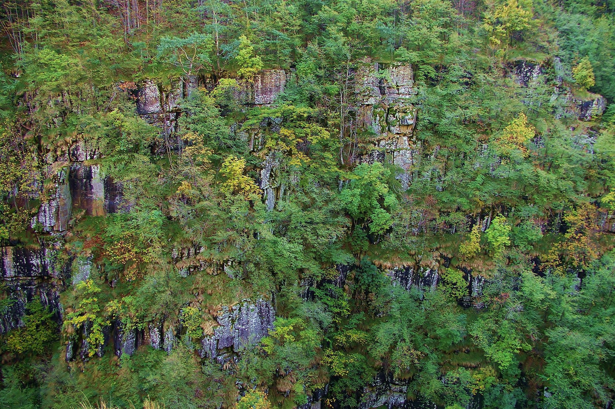 Gli schiocchi del Secchia