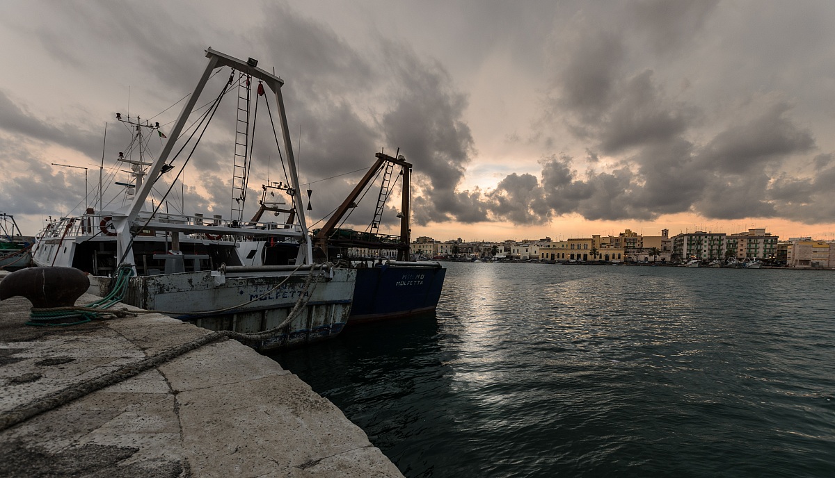 al sicuro da ogni tempesta..