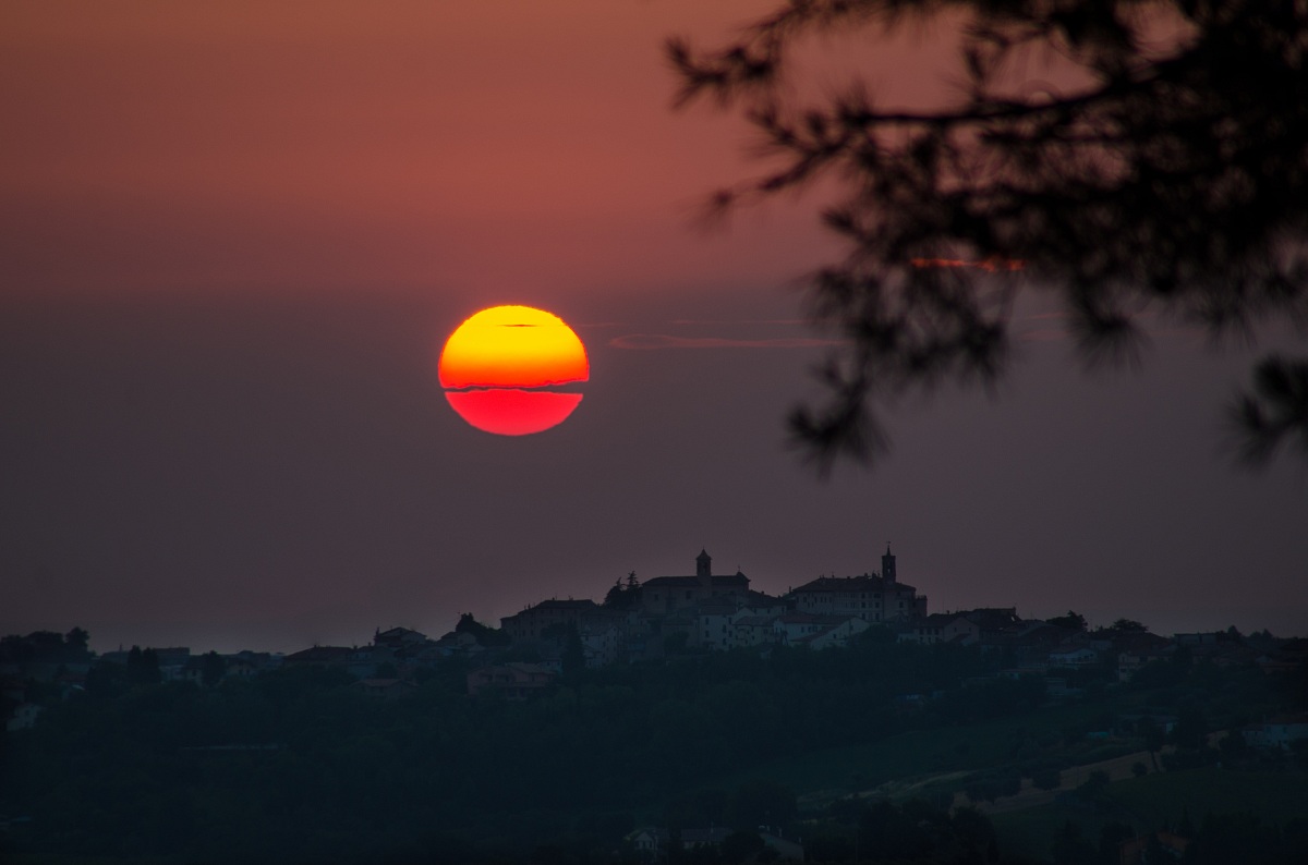 Lacrima di Morro D'alba