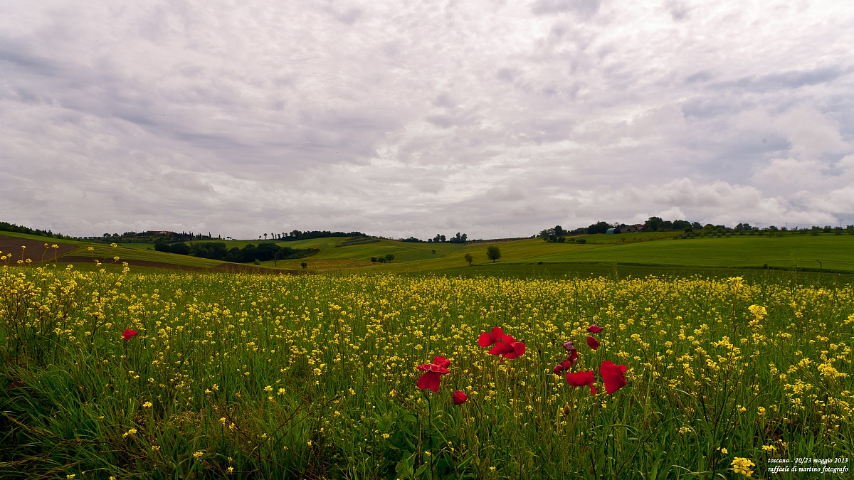 campagna toscana