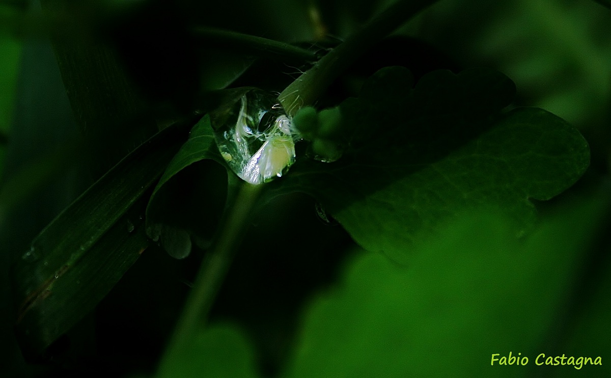 A painting in a drop