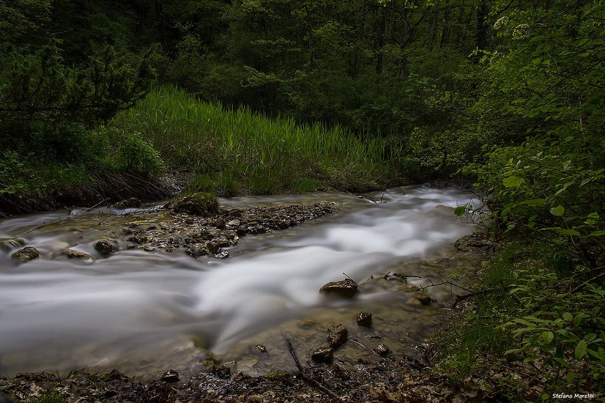 The sources in Spring