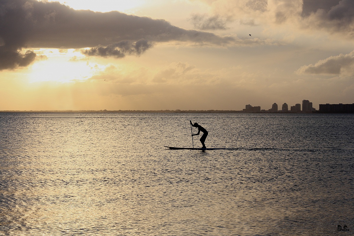 Sup in Key Biscayne (Miami)