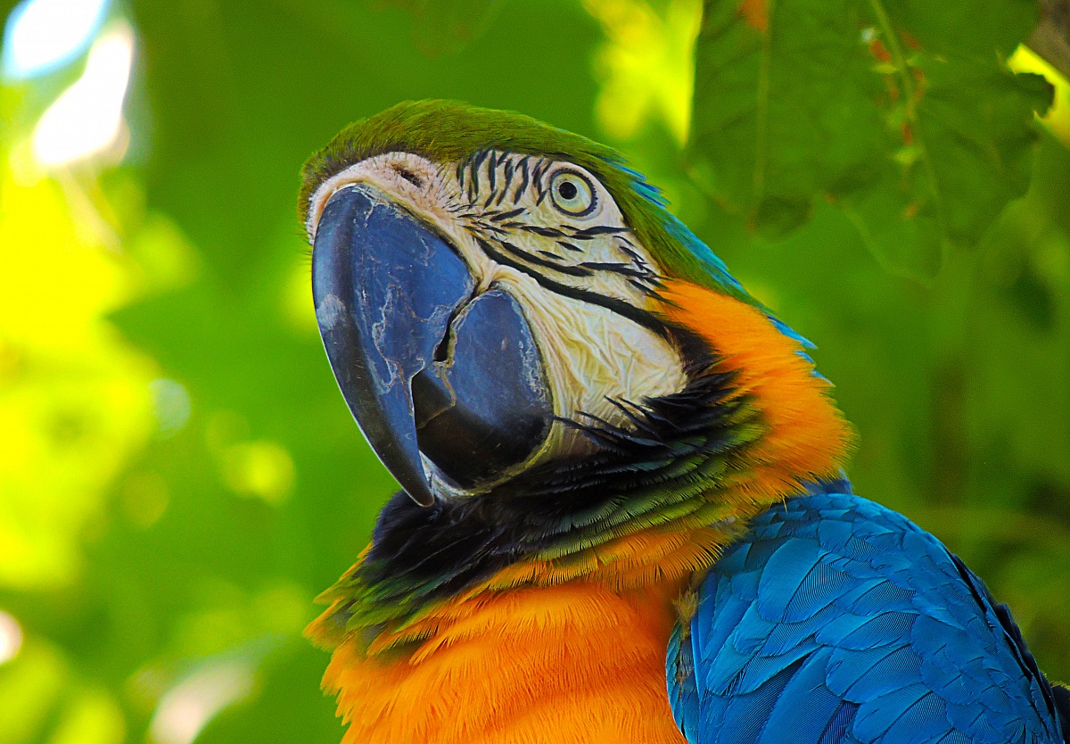 Poorrrtooo...belllooo!!!!