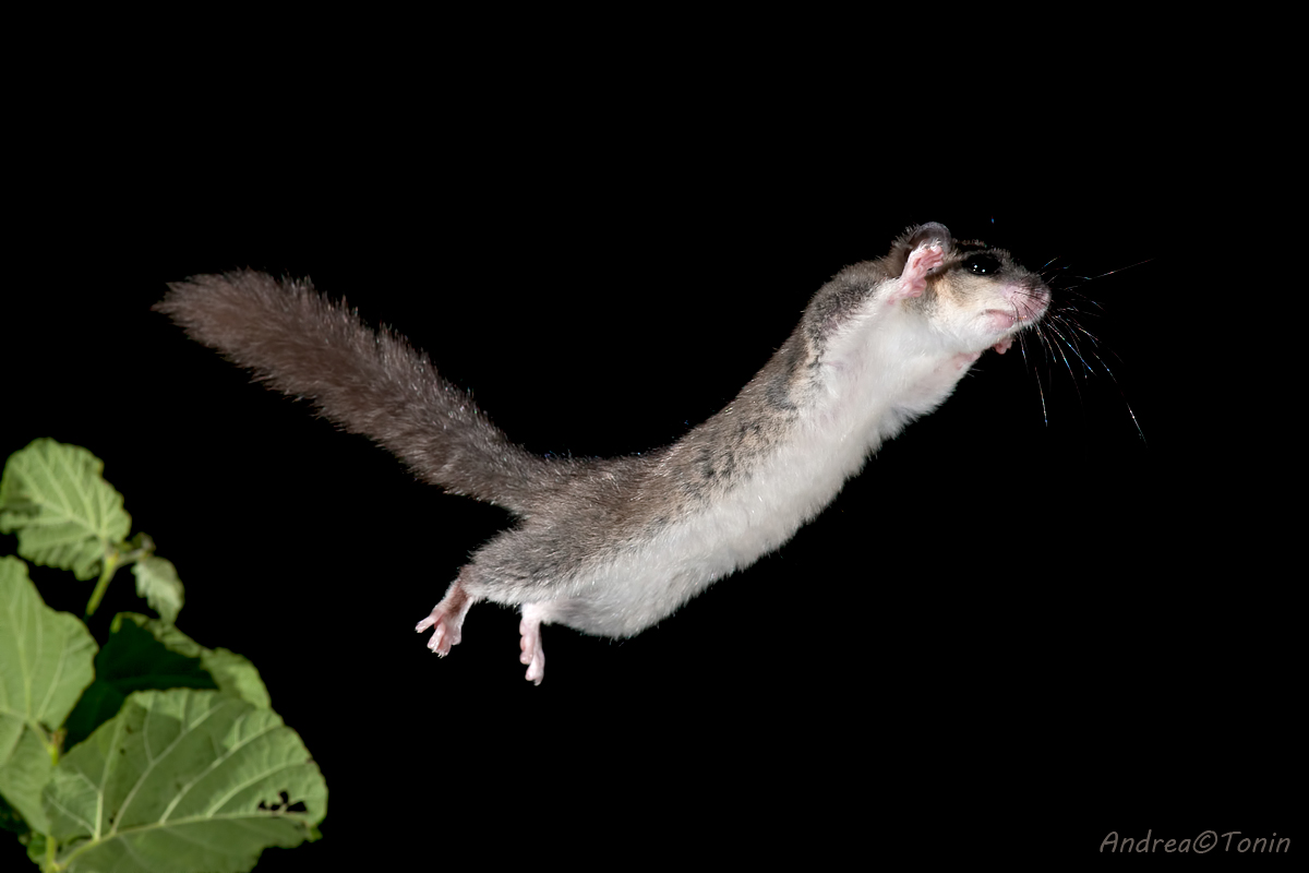 Shhhhhuuuuuuuuuuuuuuuummmmmmmmmmmm!!!