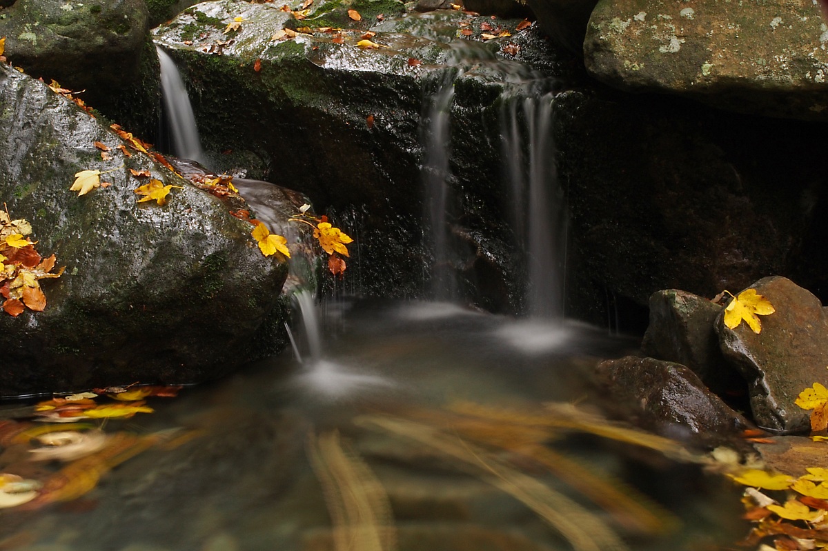 Autunno in movimento....
