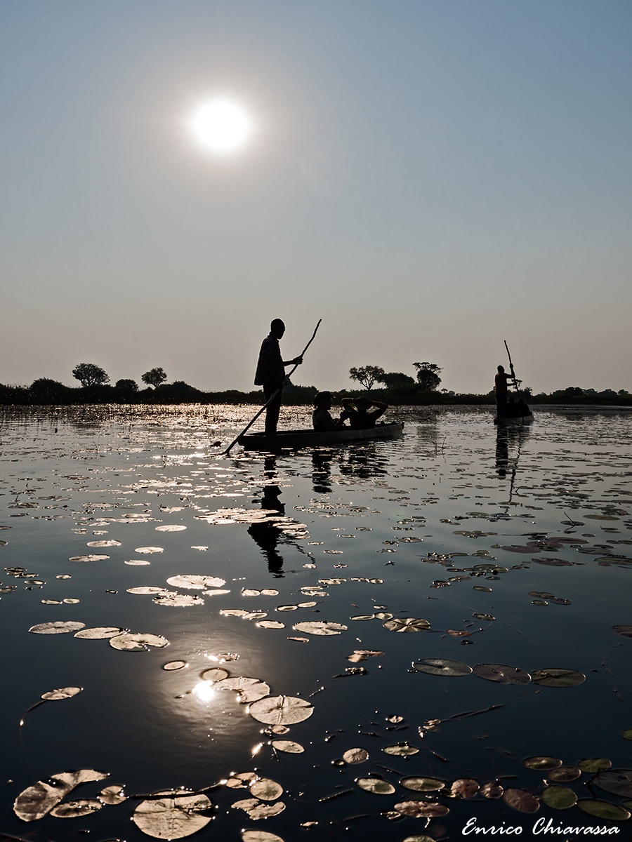 Okawango Delta