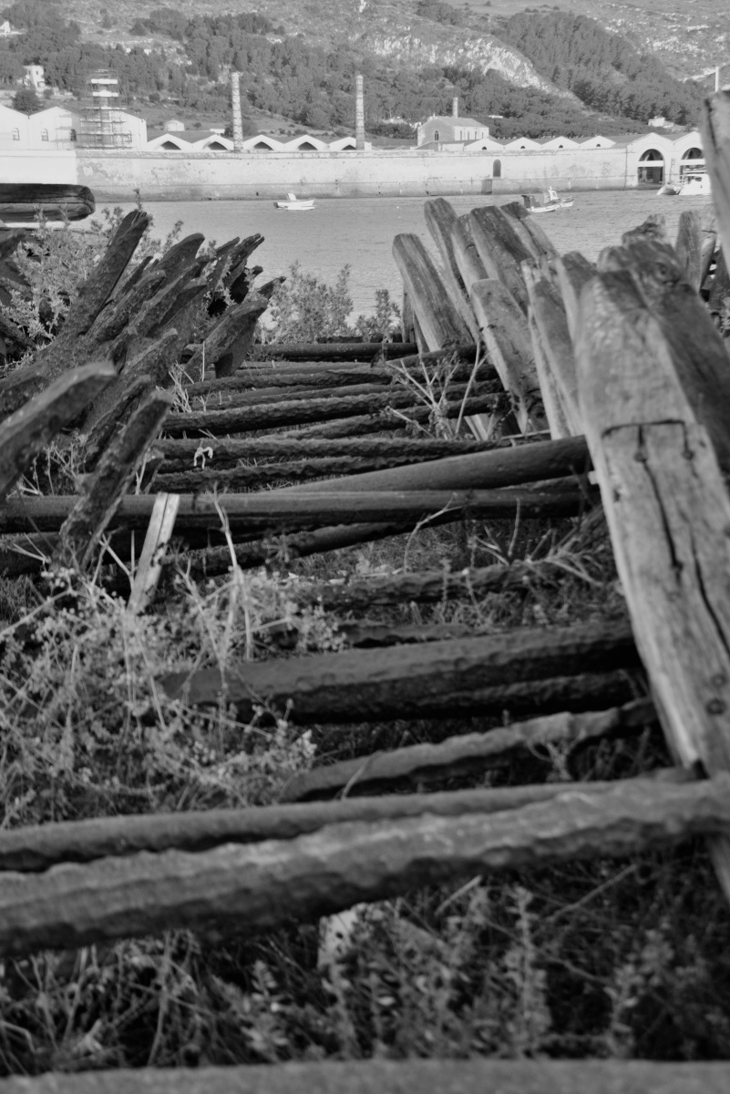 At the bottom of the tuna