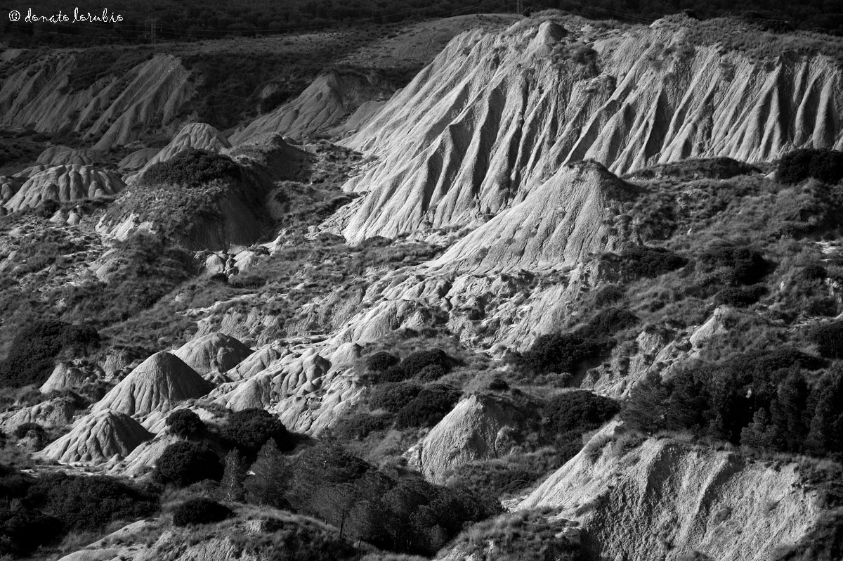 Badlands black & white
