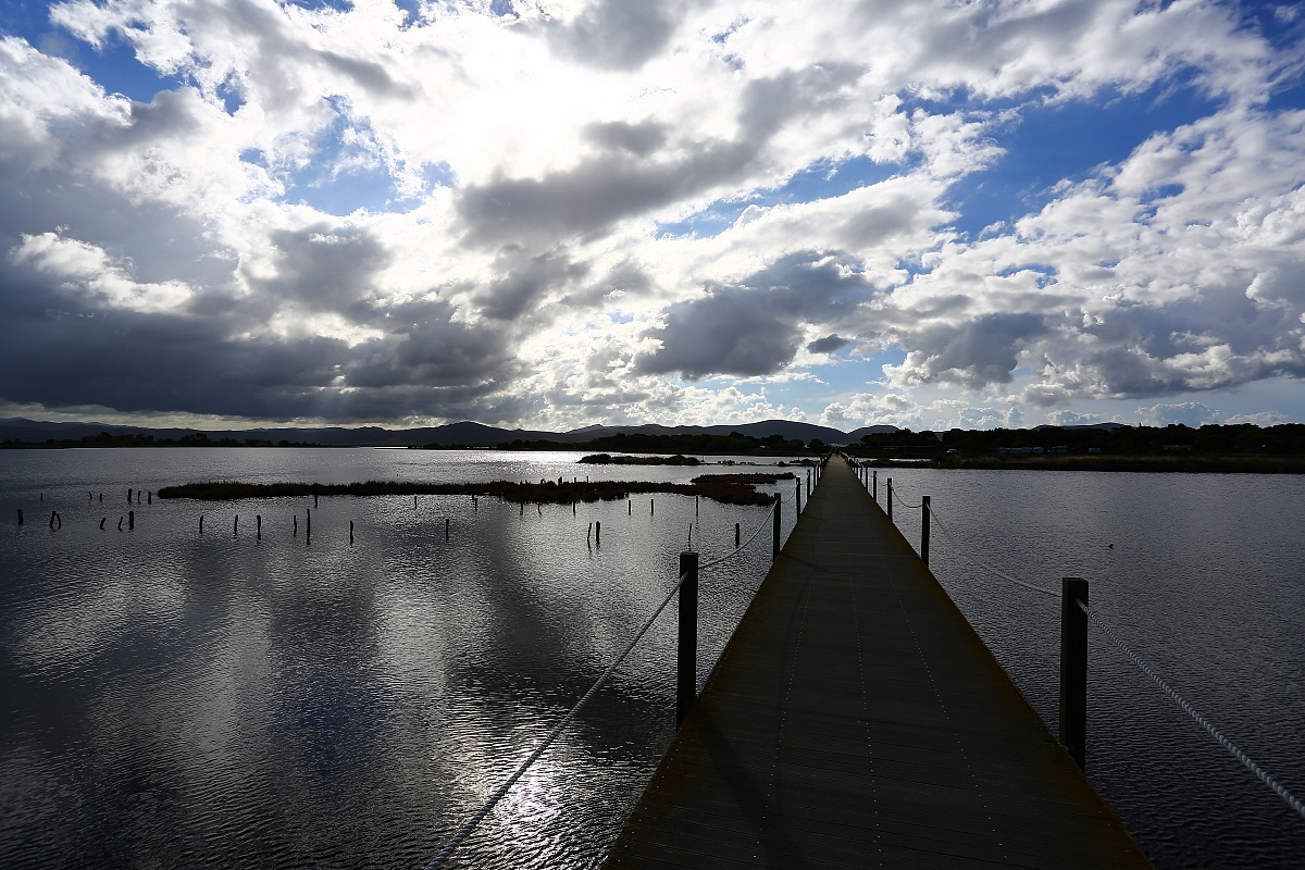 Il pontile tra gli stagni