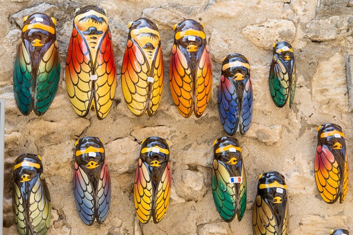 Anche io mi cimento con le foto macro