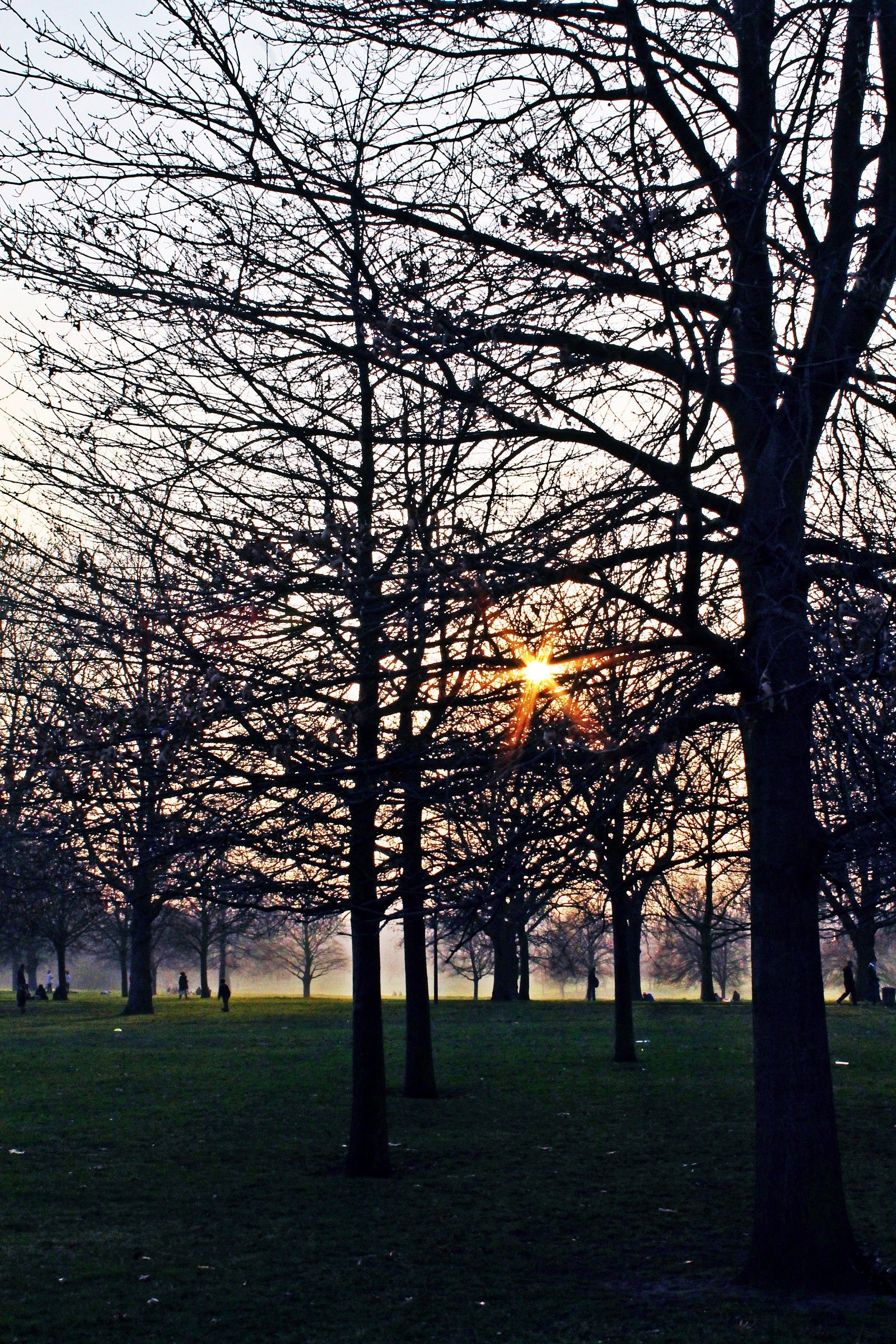 Hyde Park, London