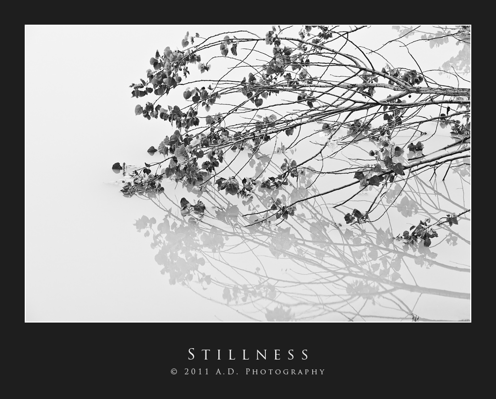 Stillness