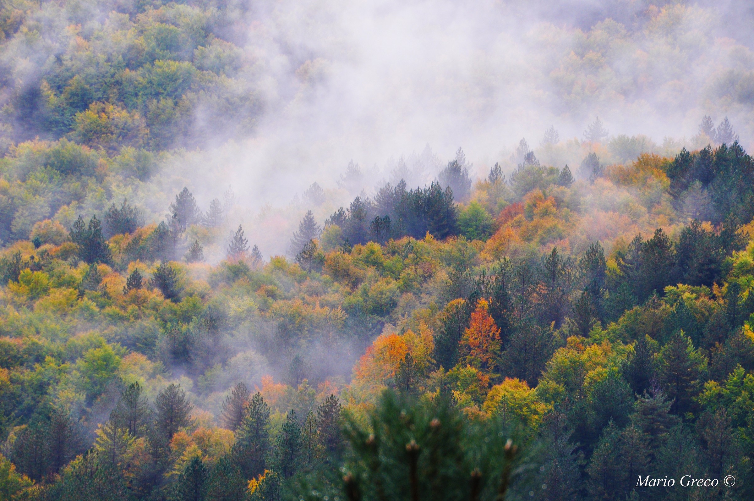 First days of autumn in the rain