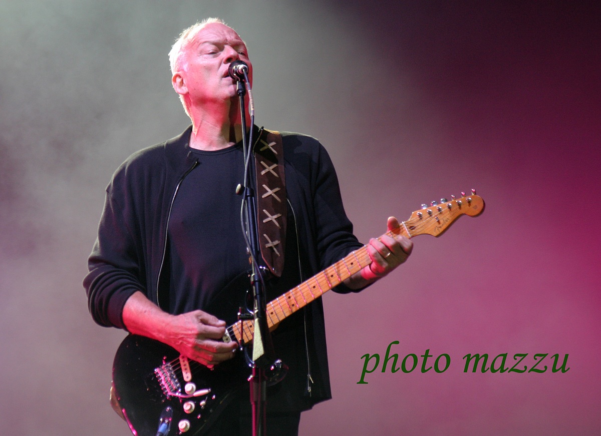 David Gilmour!