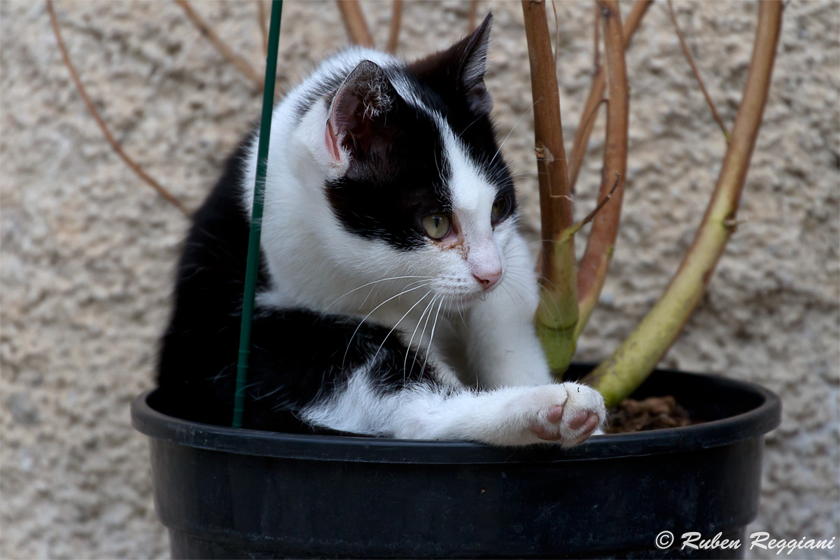 What are you watching?